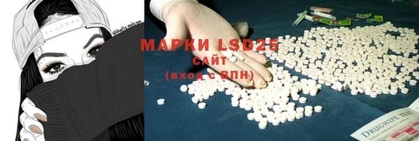 стафф Михайлов