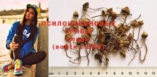 скорость Михайловка