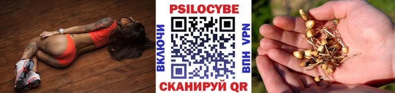 купить  цена  Киселёвск  Галлюциногенные грибы мухоморы 
