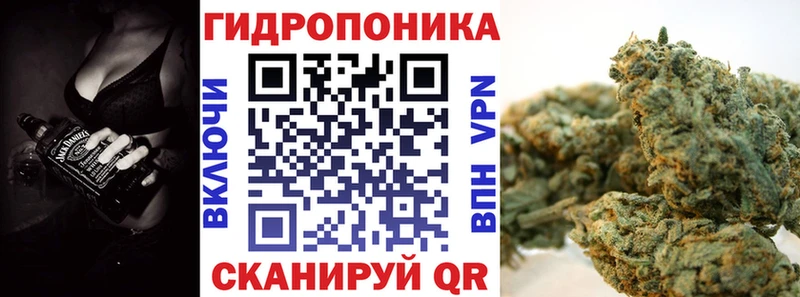 закладка  Киселёвск  Бошки марихуана семена 